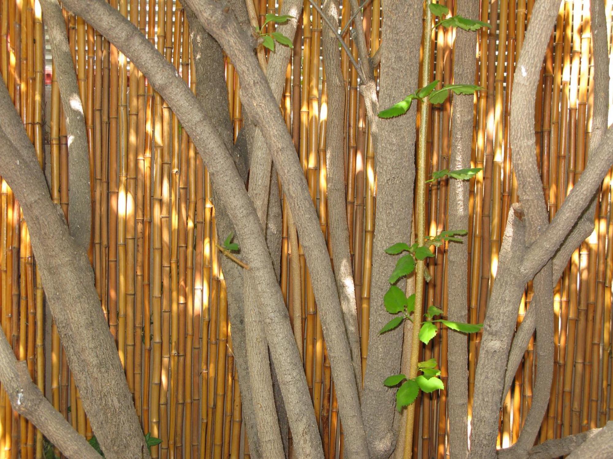 Casa de Tres Lunas/House of Three Moons Santa Fe Bagian luar foto